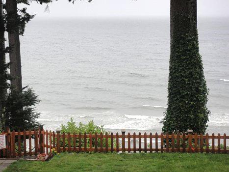 Edgewater Motel Campbell River Buitenkant foto