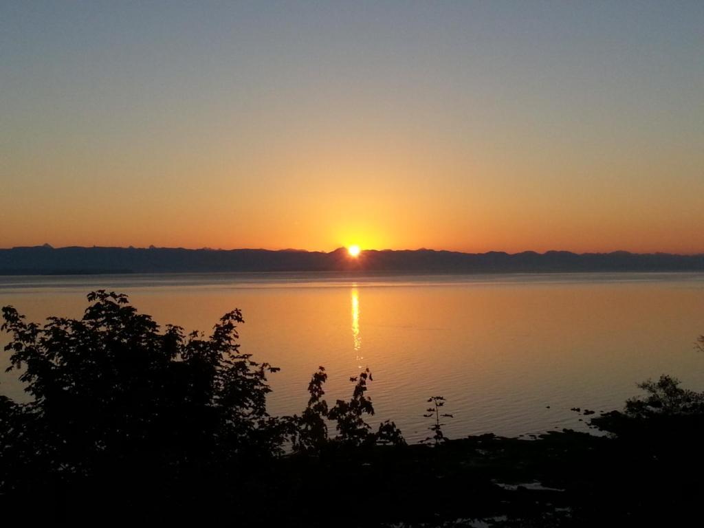 Edgewater Motel Campbell River Buitenkant foto