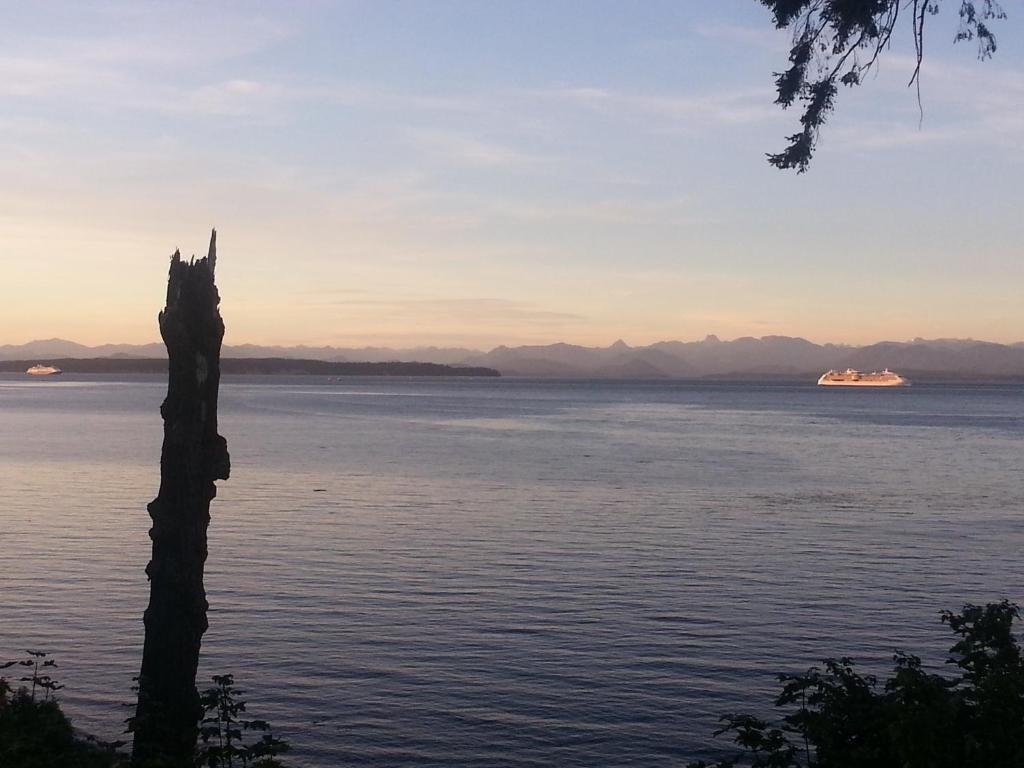 Edgewater Motel Campbell River Buitenkant foto